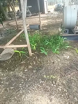 Snapshot of sima024 chatting on 11-11-25, 07:52 sima024 online show from 11-11-25, 07:52