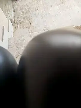 TaraWild online show from 02-04-26, 01:28