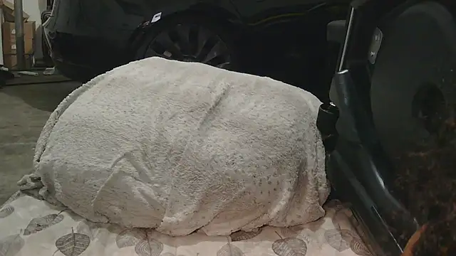 Snapshot of Gmajor chatting on 12-15-25, 01:32 Gmajor online show from 12-15-25, 01:32