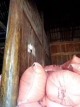 hera-00 online show from 09-20-25, 03:40