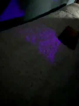 disvla online show from 11-22-25, 05:17