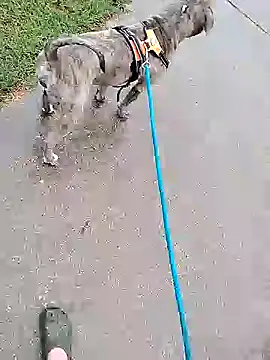 Unknownstepbrother online show from 10-05-25, 07:56