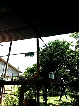 Snapshot of AlphaAlterX chatting on 10-02-25, 06:04 AlphaAlterX online show from 10-02-25, 06:04