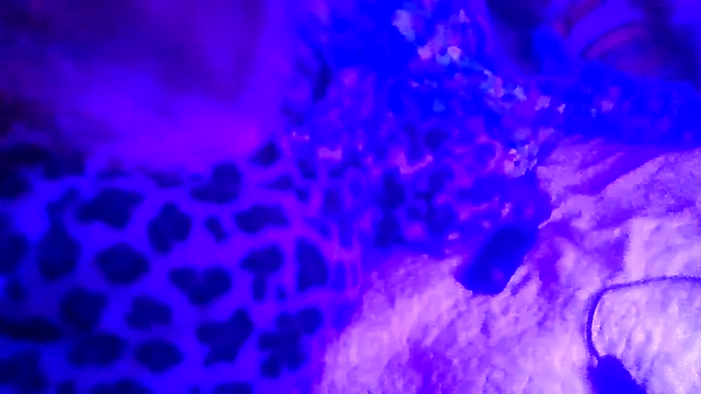 prettymaa online show from 02-19-26, 06:53