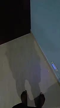 Lavanyaatelugu online show from 11-14-25, 01:21