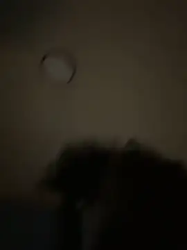 Snapshot of bunbun420247 chatting on 12-05-25, 11:30 bunbun420247 online show from 12-05-25, 11:30