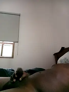 sharpei online show from 03-24-26, 11:48