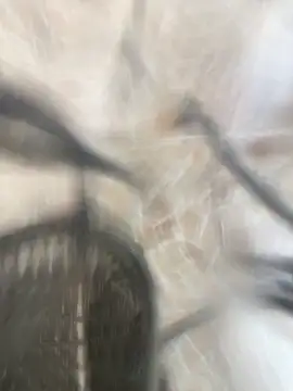 Adele Pinkk online show from 10-17-25, 01:14