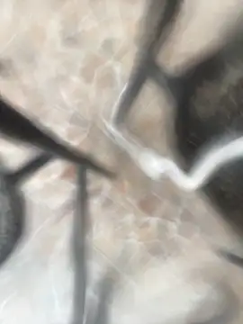 Adele Pinkk online show from 10-21-25, 12:28