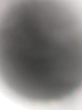 Necroforo online show from 02-14-26, 08:49