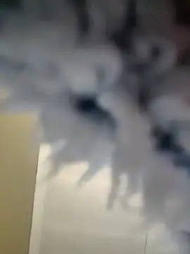 Cianda24 online show from 12-14-25, 09:25