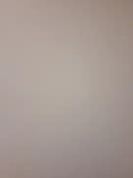 Snapshot of Mr_nightfall chatting on 11-13-25, 02:32 Mr nightfall online show from 11-13-25, 02:32