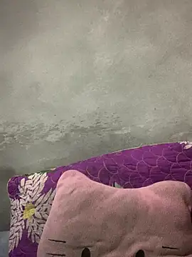 Nh64 online show from 02-08-26, 12:25