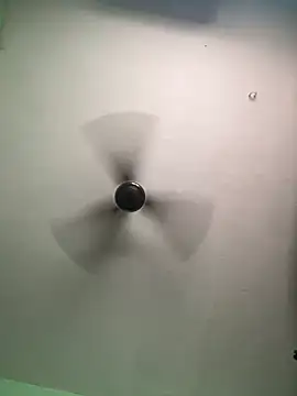 tamil Nila  online show from 09-15-25, 09:53