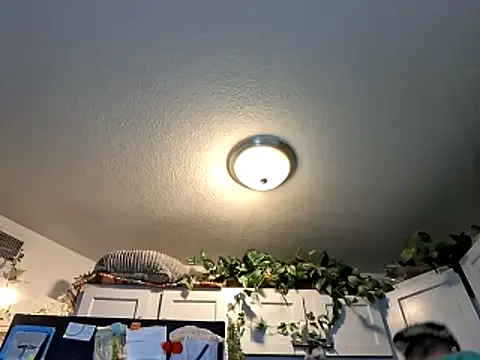 Snapshot of WWGD69 chatting on 03-03-26, 02:28 WWGD69 online show from 03-03-26, 02:28