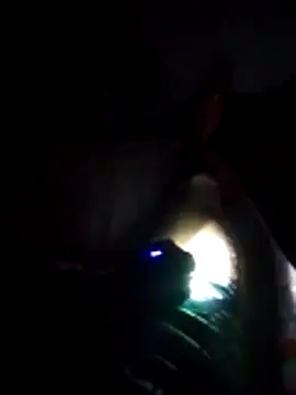 Snapshot of D22Ad chatting on 12-20-25, 03:57 D22Ad online show from 12-20-25, 03:57