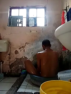 Snapshot of average_price chatting on 11-28-25, 04:37 average price online show from 11-28-25, 04:37