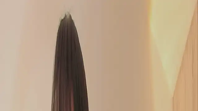 Snapshot of AnnaraLein chatting on 12-05-25, 01:47 AnnaraLein online show from 12-05-25, 01:47