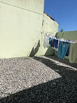 cat9269 online show from 11-11-25, 05:57