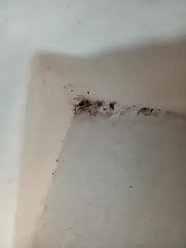 Punam jindal online show from 10-07-25, 06:10