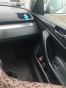 MiriandZacki online show from 12-21-25, 12:23