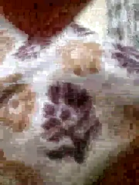 Snapshot of roshankakol chatting on 11-21-25, 05:33 roshankakol online show from 11-21-25, 05:33