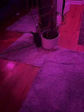 Snapshot of twunkwitadunk chatting on 11-22-25, 03:22 twunkwitadunk online show from 11-22-25, 03:22