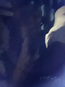 Snapshot of 8133vaibhavh chatting on 10-03-25, 02:03 8133vaibhavh online show from 10-03-25, 02:03