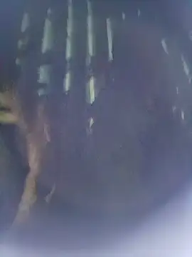 Snapshot of 8133vaibhavh chatting on 10-09-25, 02:48 8133vaibhavh online show from 10-09-25, 02:48