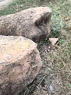 Snapshot of Ag_punam chatting on 11-16-25, 10:43 Ag punam online show from 11-16-25, 10:43