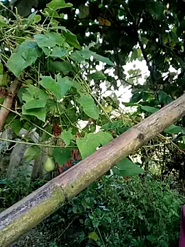 kemtuoi-sex online show from 10-04-25, 11:58