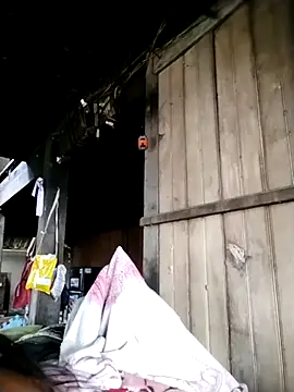 Samdim23 online show from 10-02-25, 02:29