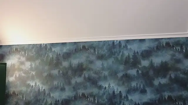 MarkShot  online show from 11-11-25, 08:31