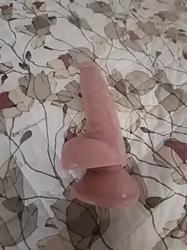 Snapshot of gattosilvestro1974 chatting on 10-20-25, 12:49 gattosilvestro1974 online show from 10-20-25, 12:49