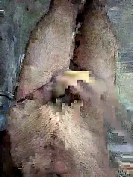 Snapshot of ash706339 chatting on 09-19-25, 06:52 ash706339 online show from 09-19-25, 06:52