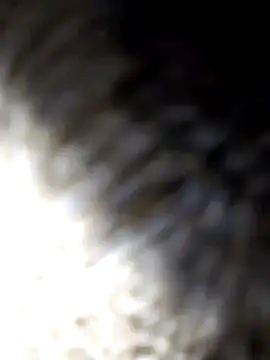 adem63636 online show from 03-08-26, 02:04