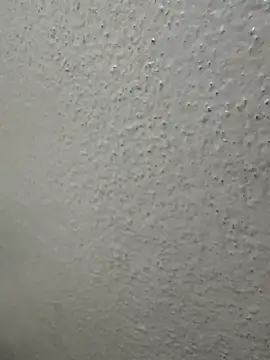 Wild-Nayra online show from 10-04-25, 01:36