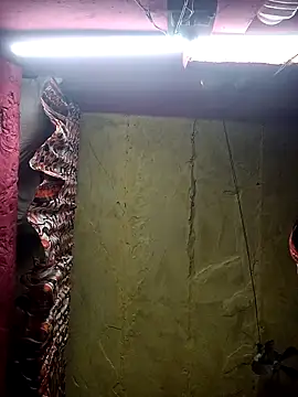 Snapshot of Suman_ji1 chatting on 11-25-25, 01:44 Suman ji1 online show from 11-25-25, 01:44