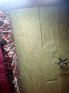 Snapshot of Suman_ji1 chatting on 11-27-25, 09:06 Suman ji1 online show from 11-27-25, 09:06