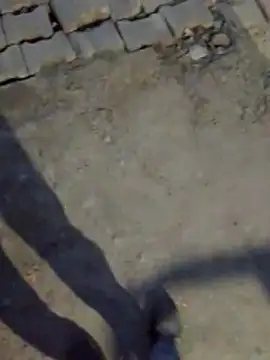 haryanaboypanipat12 online show from 03-17-26, 01:25