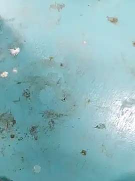 haryanaboypanipat12 online show from 04-09-26, 07:25