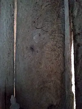 bonnie-00 online show from 10-29-25, 11:28