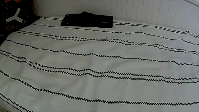 didil1900 online show from 11-29-25, 09:34