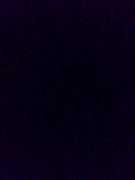 Cachorrinha2025 online show from 11-21-25, 02:05