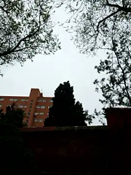 oliver sanders online show from 03-09-26, 08:29