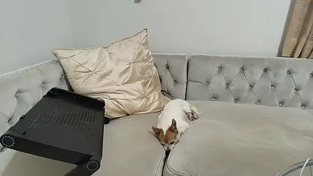 Snapshot of BarbieKarly chatting on 12-01-25, 01:21 BarbieKarly online show from 12-01-25, 01:21