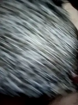 Snapshot of Love-890 chatting on 10-11-25, 04:16 Love-890 online show from 10-11-25, 04:16