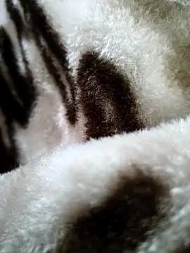 bold guy 1234 online show from 12-17-25, 05:35