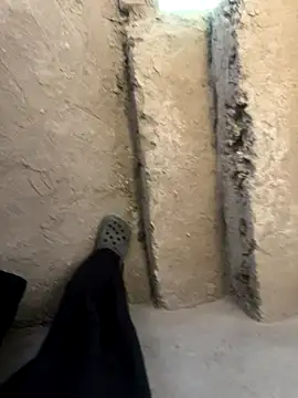 Prtkkk online show from 11-20-25, 03:50