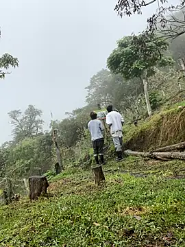 Snapshot of sky-wolves chatting on 10-11-25, 03:43 sky-wolves online show from 10-11-25, 03:43